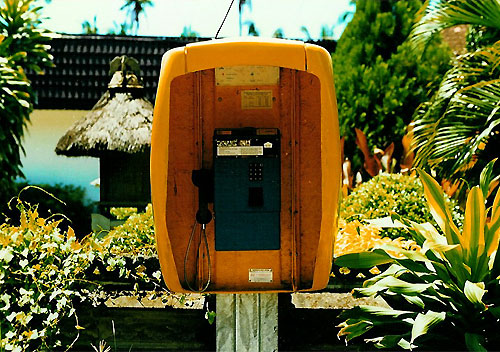 Öffentliches Münztelefon mit gelber, nach vorne offener Außen-Verkleidung, im Hintergrund eine typische Pflanzen-Welt mit kleinem Tempeldach auf der Insel Bali