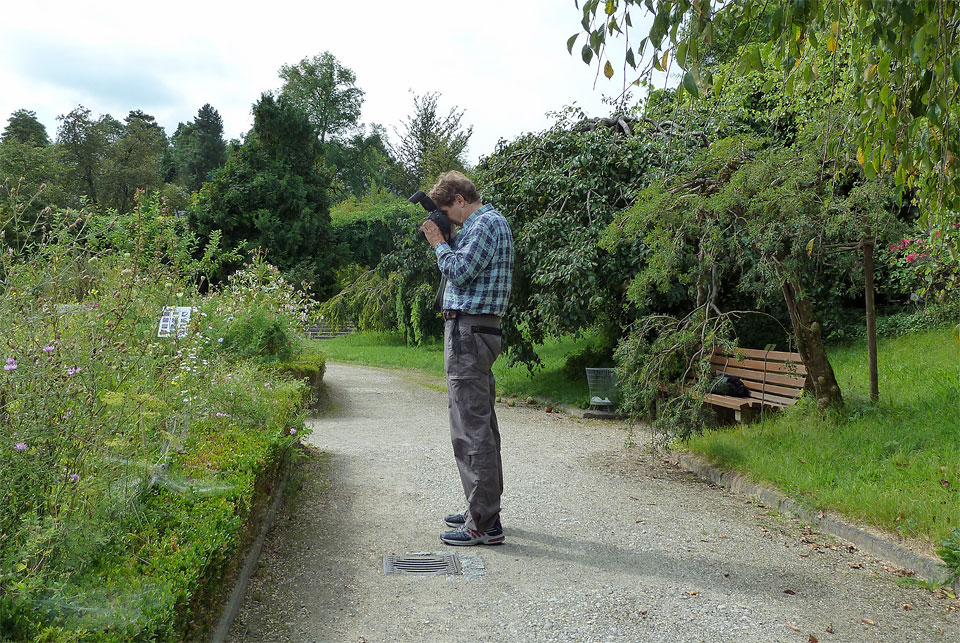 Mike Gallus fotografiert die Botanik in einem Botanischen Garten