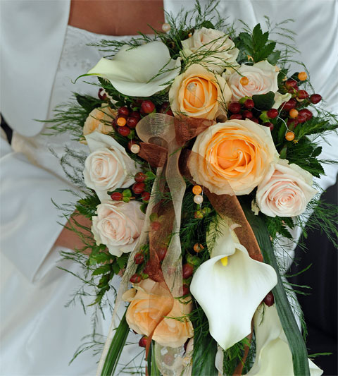 Ein Braut hält vor ihr Hochzeitskleid einen Hochzeitsstrauß mit orangen und blass-rosa Rosen (botanisch: Rosa) und weißen Calla/Zantedeschien (Zantedeschia)